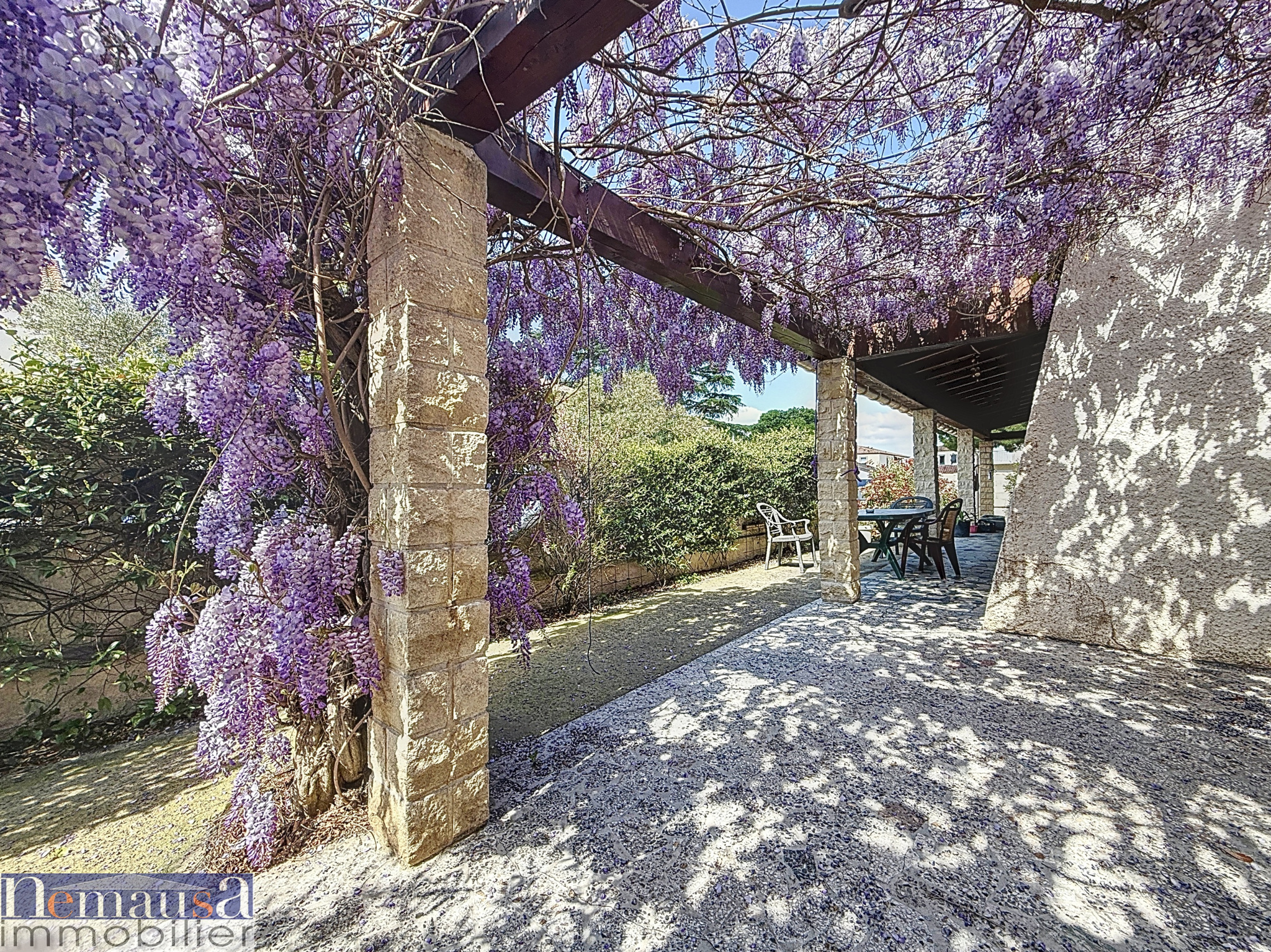 photo_c2974cf9da27ee88480e2d59364d774a