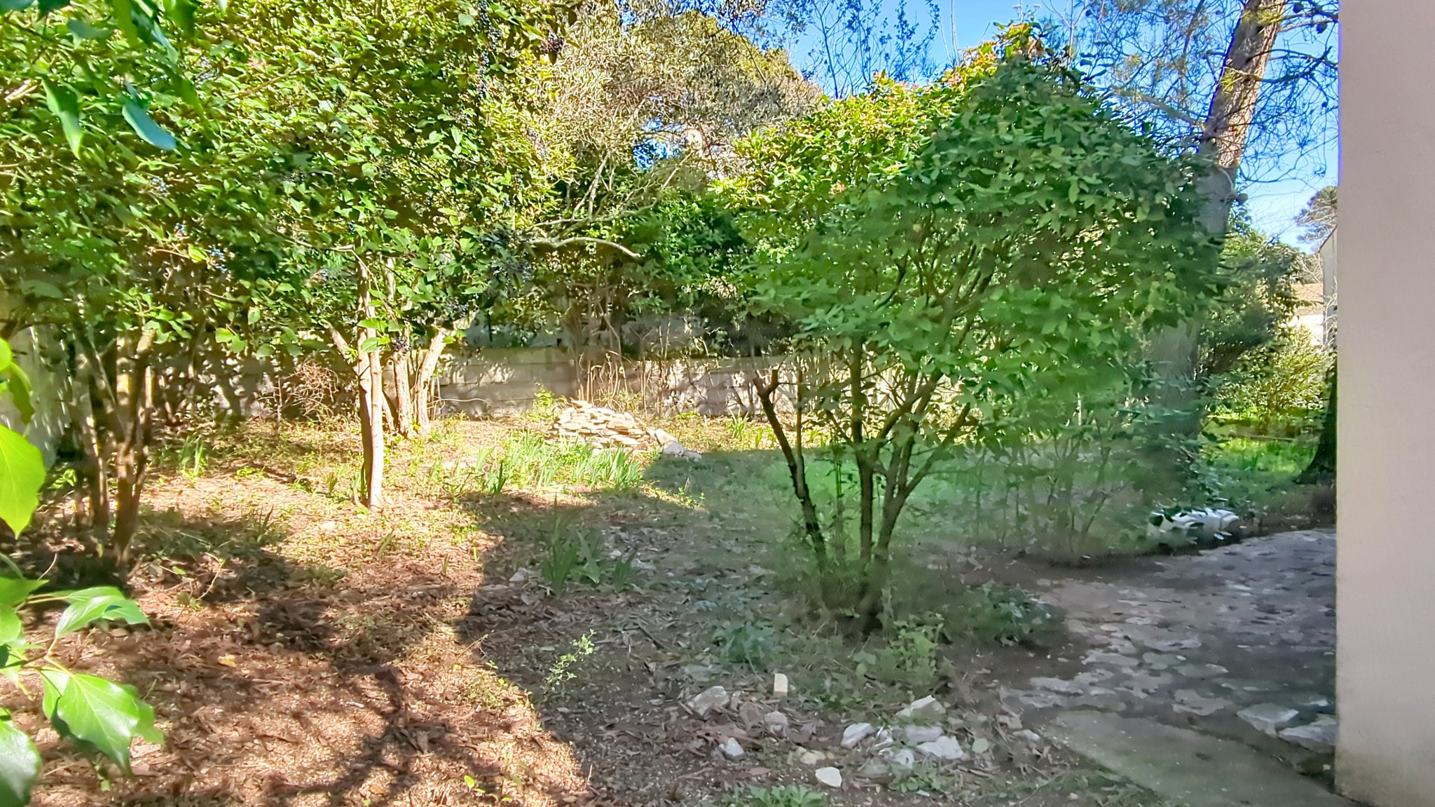 photo_e9f1454b185dad13d4d568e7f1cd333a