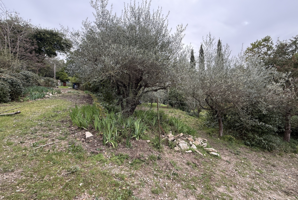 photo_0c387993bea758407bdfb596e712a2ee