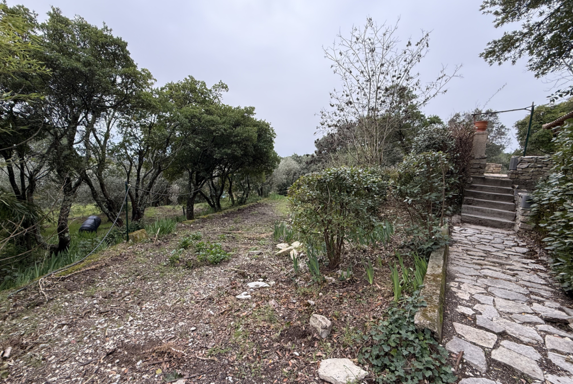 photo_3180e2906c55e76ca92c9bb4a4d92f6c