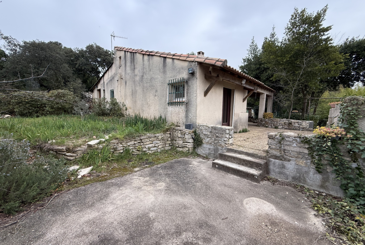 photo_805ccbba97e83591ccb2748c56113300