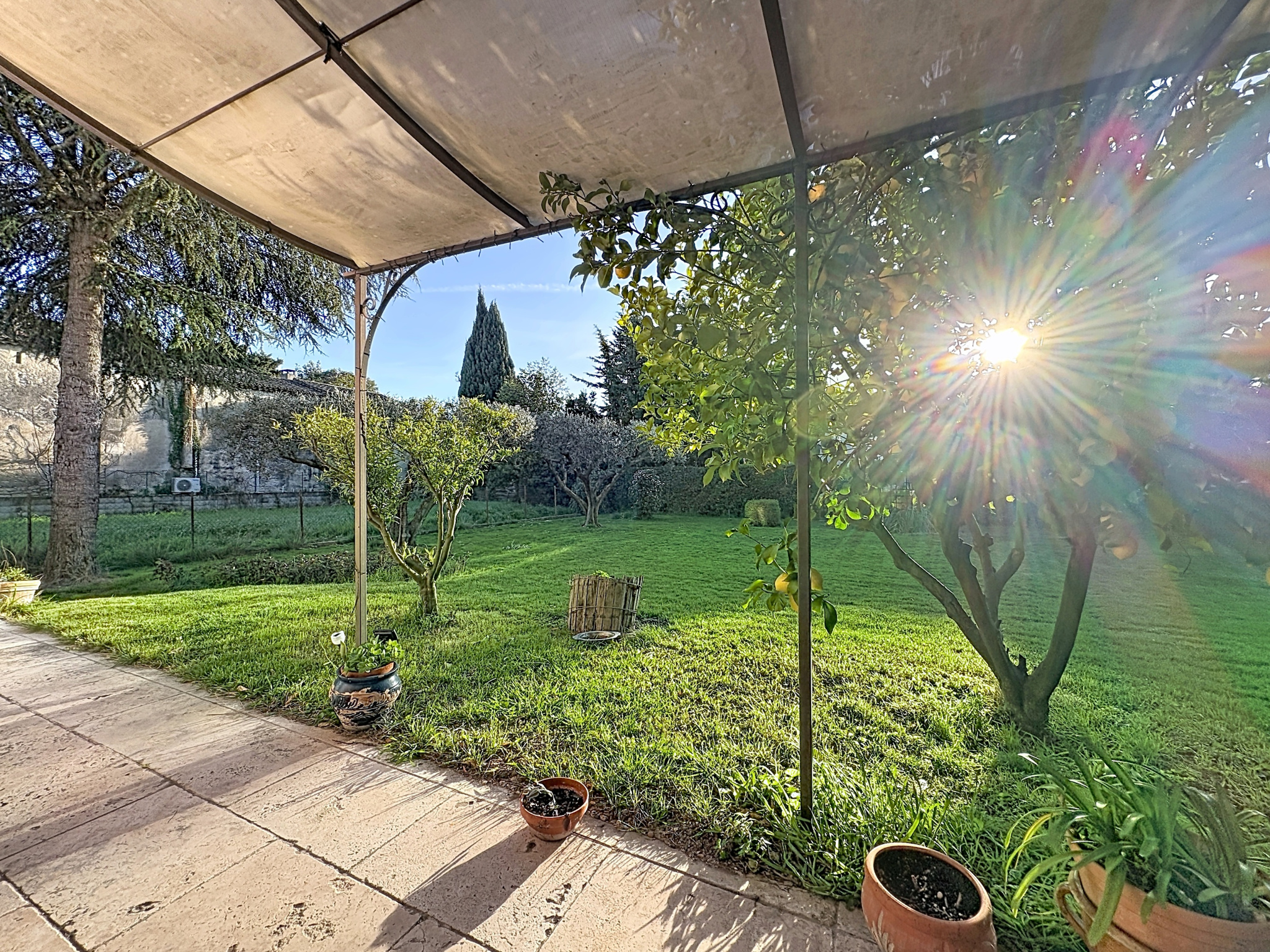 photo_c93b1a436e0c9c0fd8728c9106700d18