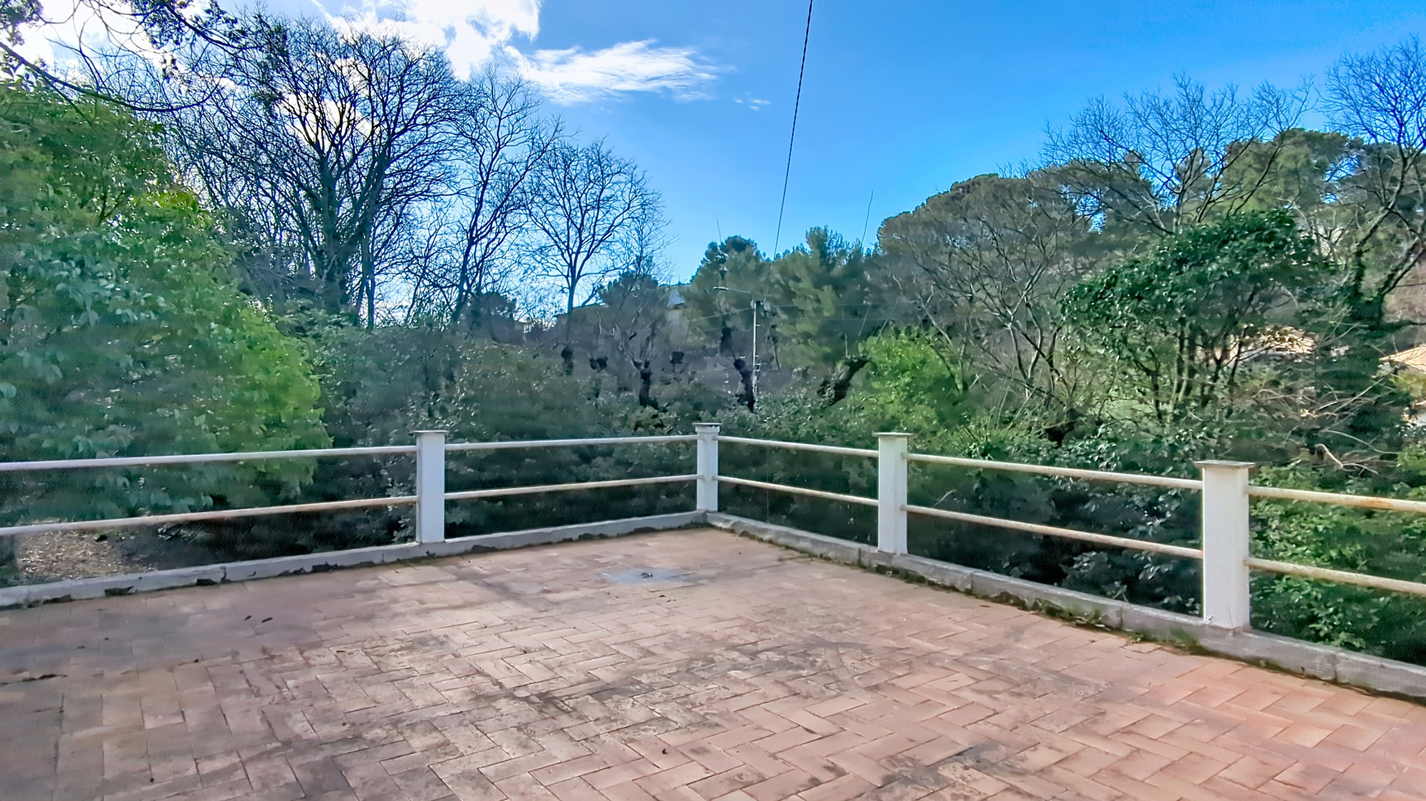 photo_cb4c678adb166576e068aa9fbe9cd585