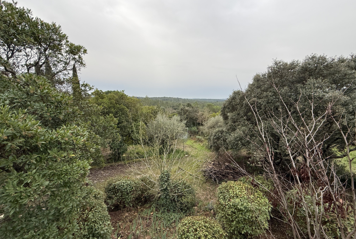 photo_cda715ab4ae3a64e0653ddd6f2ce2e1f