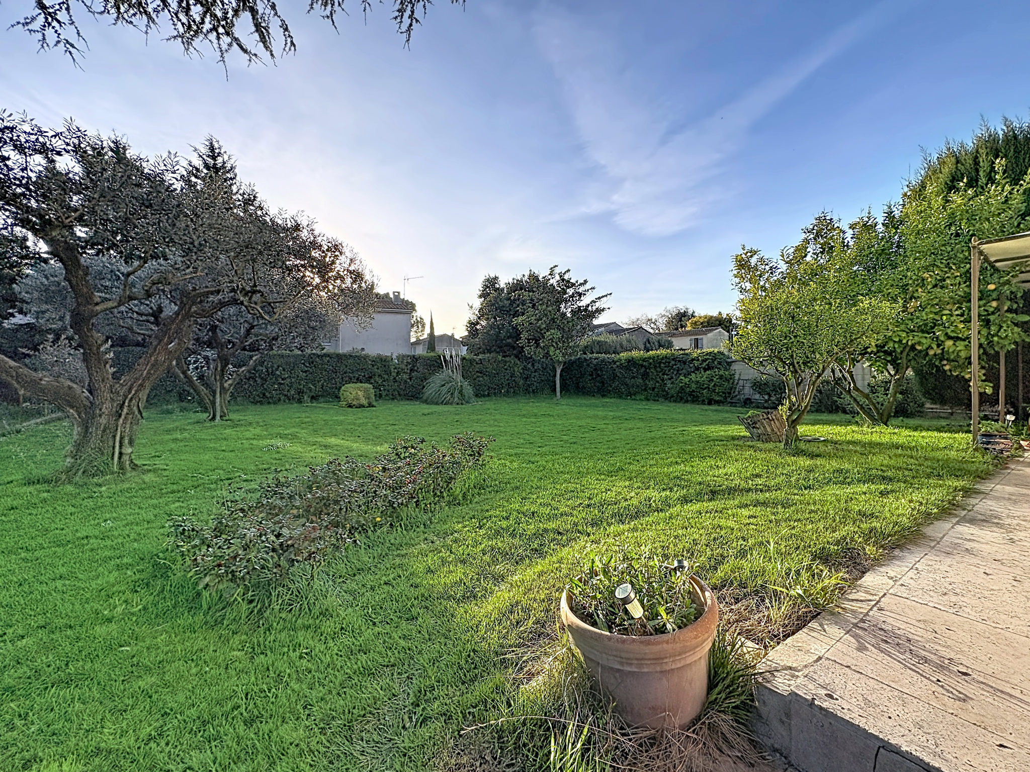 photo_dd61de25bc1f38be04a7d79446d20010