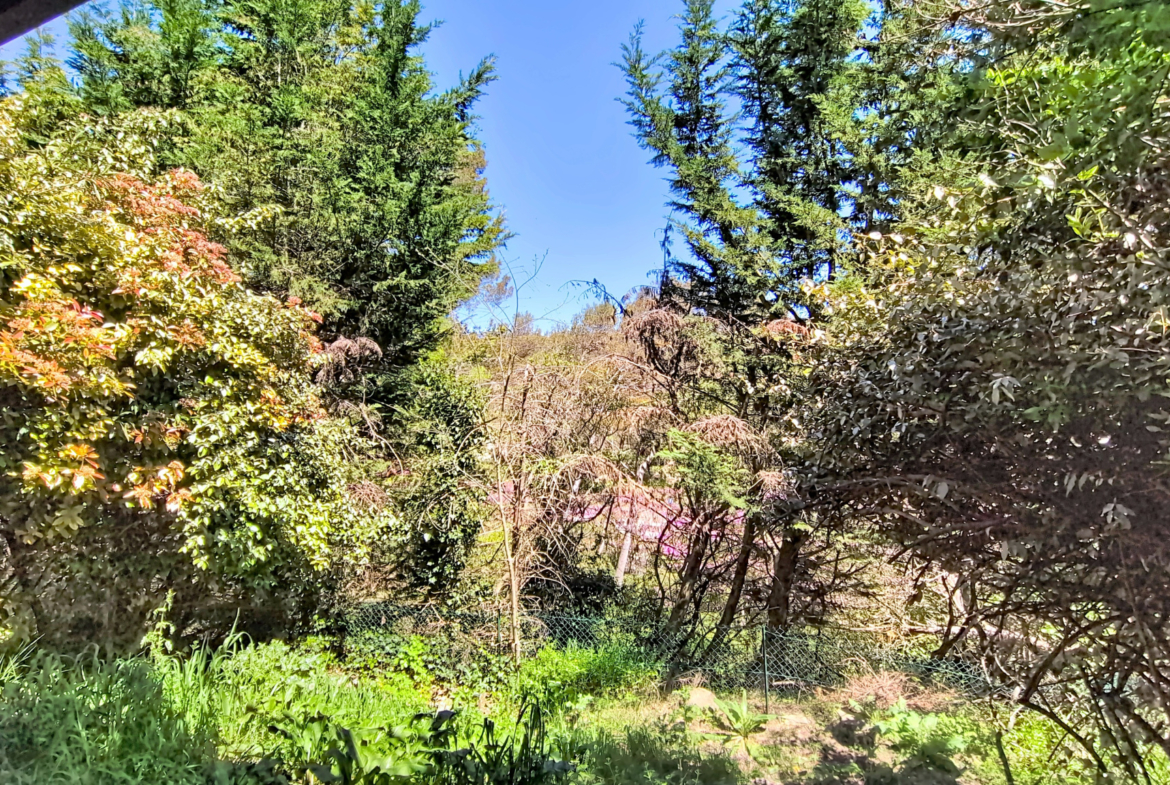 photo_49476c445eea7c76a4da85834ab9f9f7