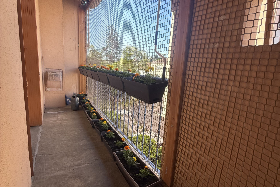 photo_578696a87bf209c96ce6518ea86161d0