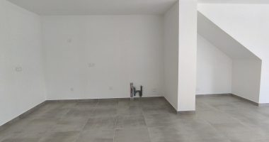 8194d262.jpg