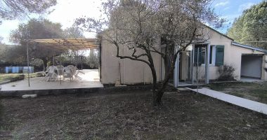 917f800c.jpg