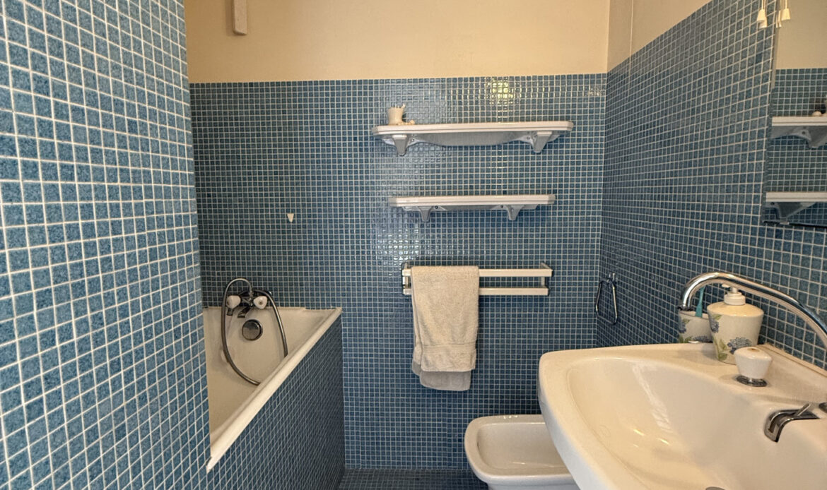 313a5775.jpg