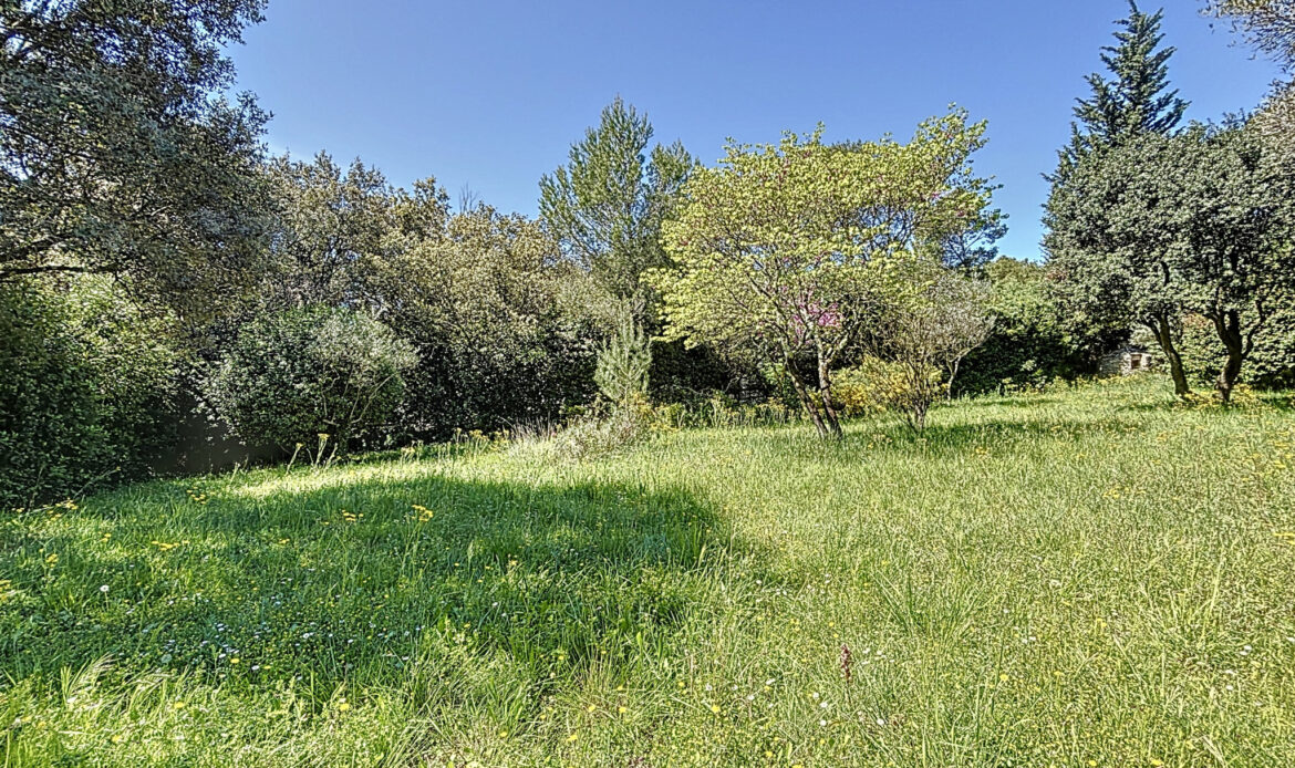 474b8ac0.jpg