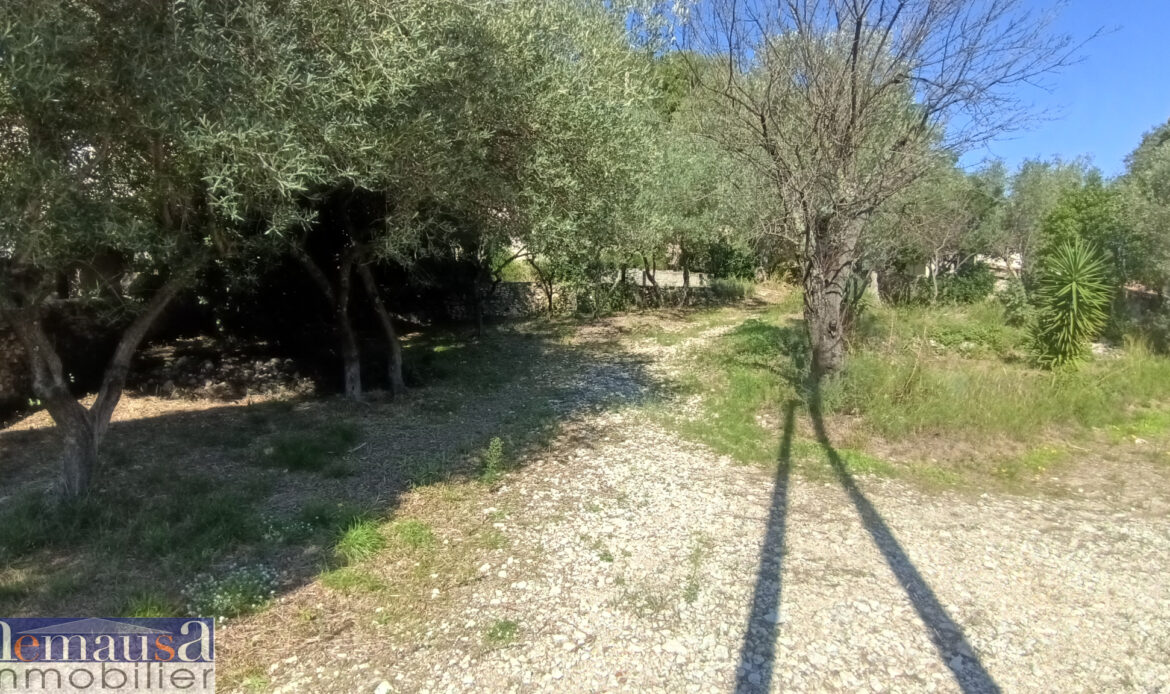 cf407a42.jpg