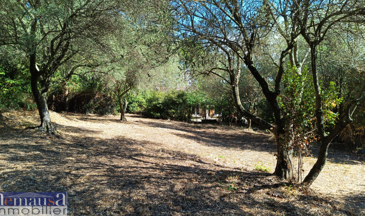 d3226926.jpg