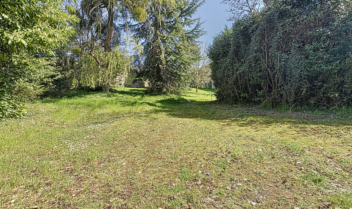 e3f81207.jpg