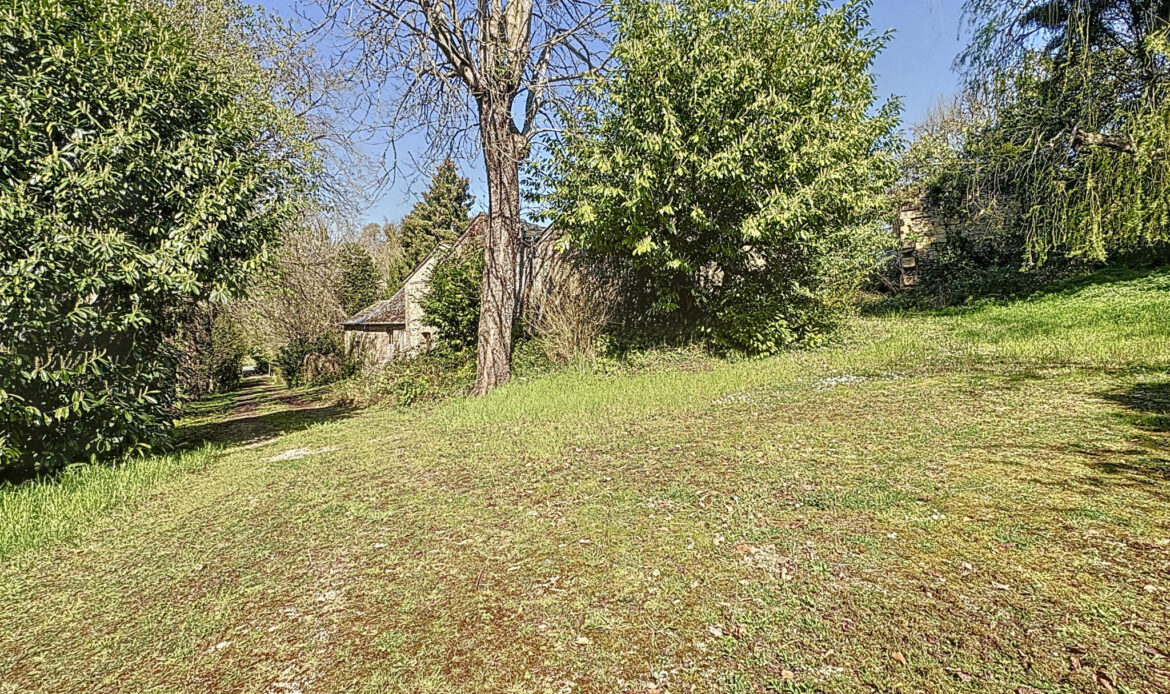 f0484359.jpg