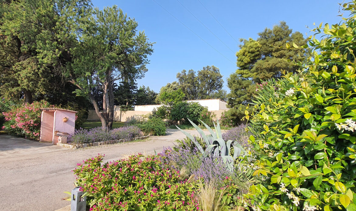 277d0532.jpg