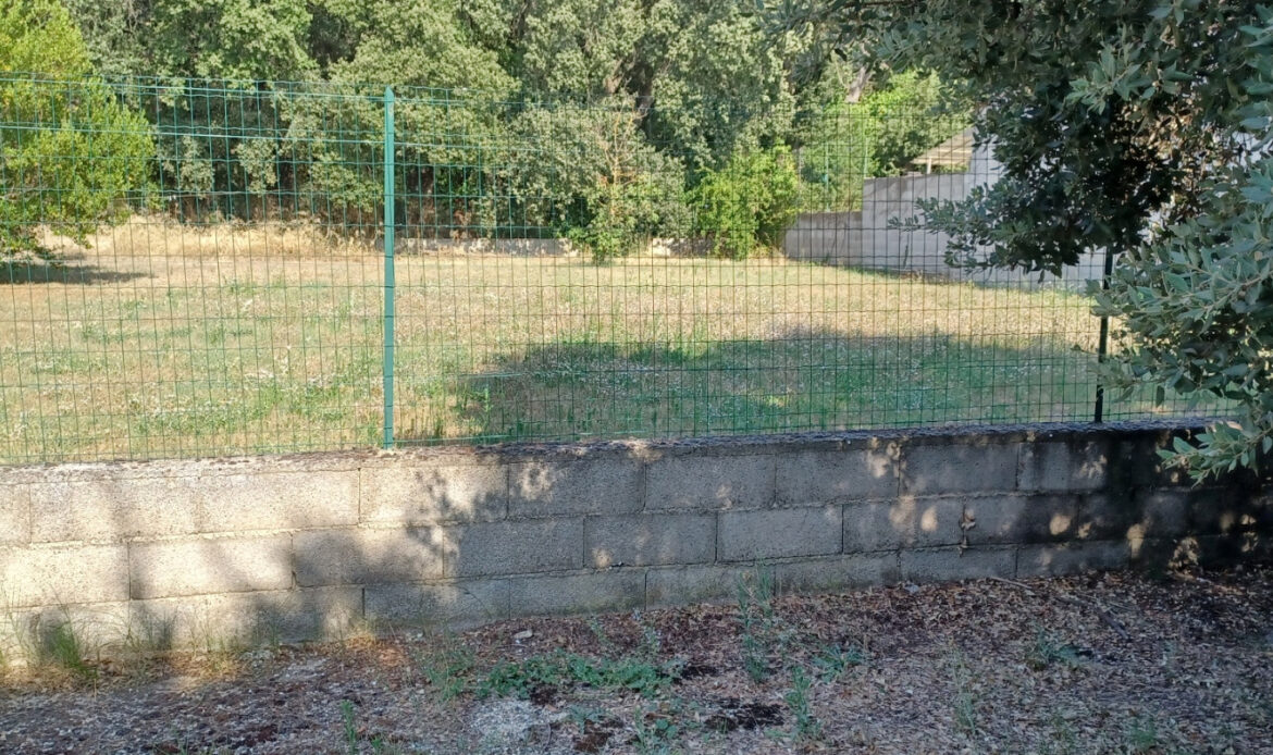 29e7f965.jpg