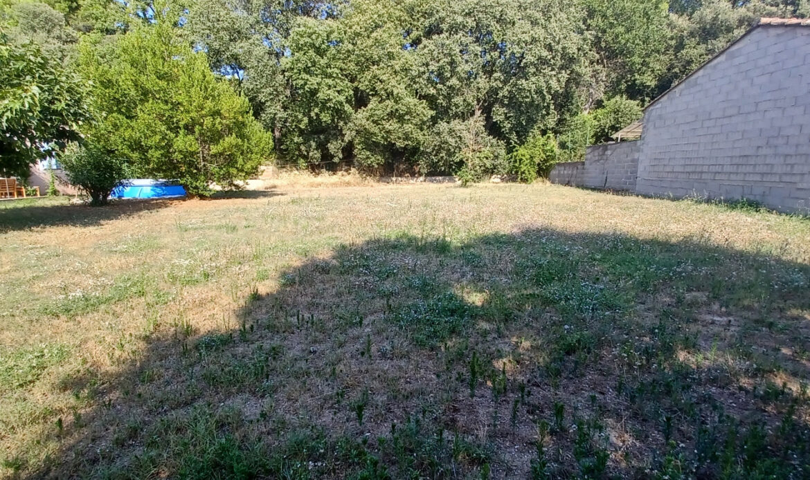 d8bb8492.jpg