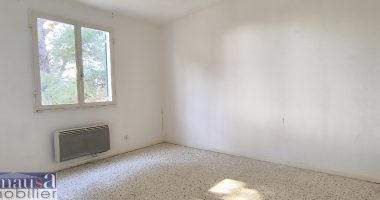 501e8a62.jpg