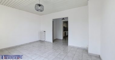 917697d0.jpg