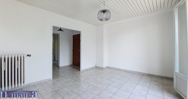 d1466579.jpg