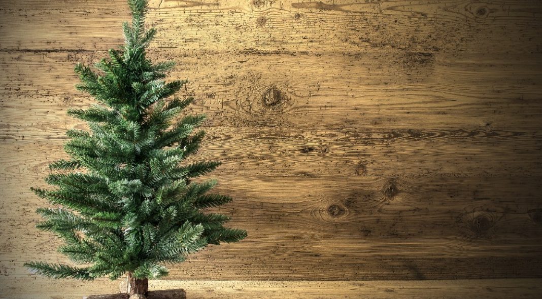 sapin